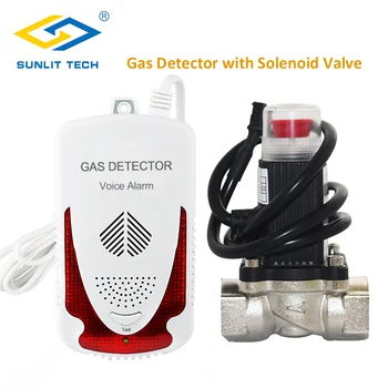 dujų nuotėkio detektorius de dujų czujnik gazu ziemnego detektor gazu ziemnego snd detektorius de dujos su Solenoido išjungti ventilis DN15