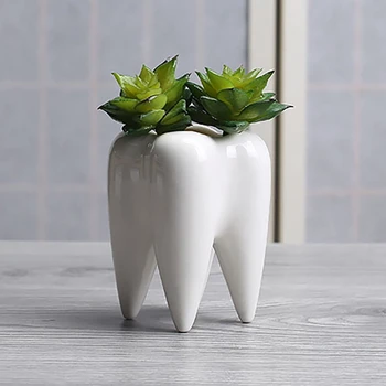 Modernaus Stiliaus Dantų Puodai Keramikos Vazonas Dantų Formos Baltos Keramikos Vazonas Sultingas Gėlių Vazonas Bonsai Rinkinys 4