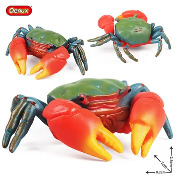 Vaikų kognityvinis modeliavimas Jūrų gyvūnų modelio žaislas Krabų raudona žnyplės vertus, krabų raudona vėžlys mantis rankos krabų pažinimo žaislas